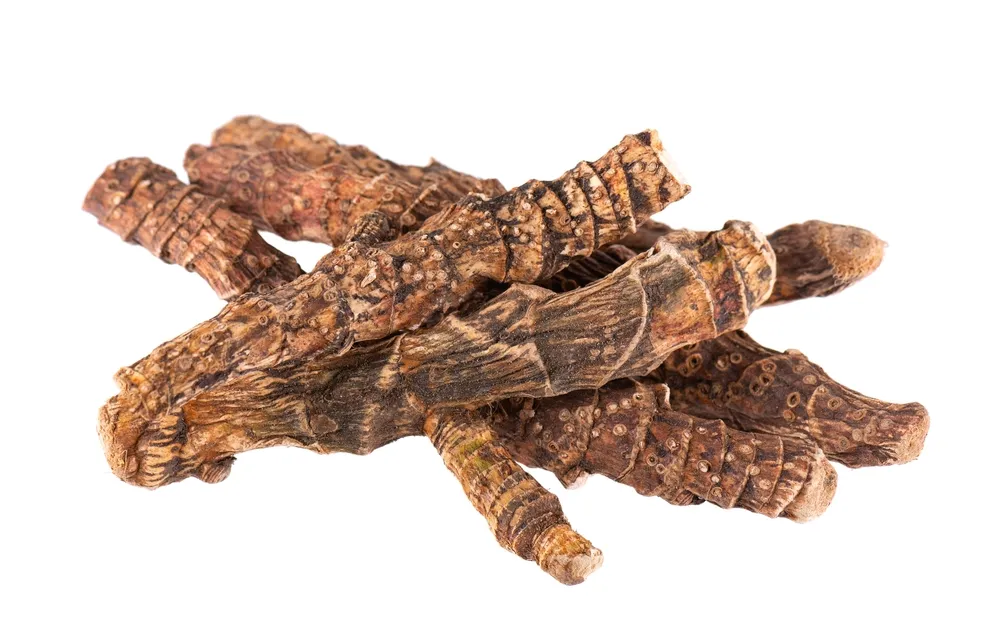 ショウブ 【入浴用】 500g 臭う <br>セキショウの根茎<br>【栃本天海堂 