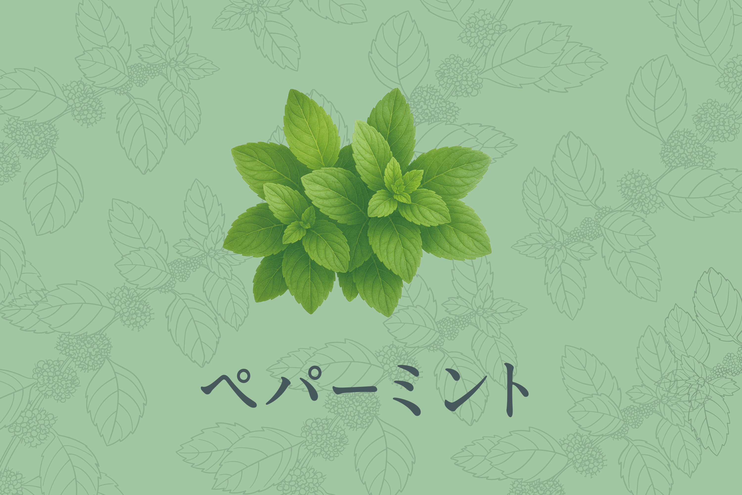 ペパーミント刻み | 100%ハーブ | サウナ用品 | プロ向け製品 | 健美薬湯